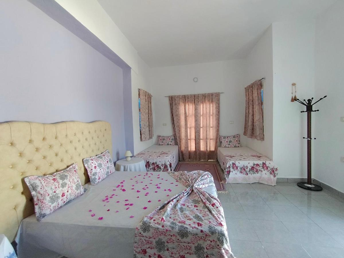 Henchir Ejdoud Guest House Kairouan Bagian luar foto