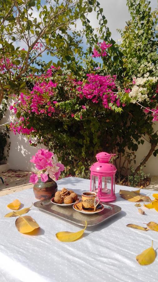 Henchir Ejdoud Guest House Kairouan Bagian luar foto