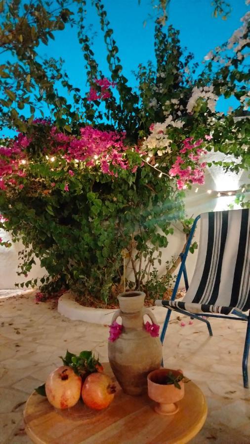Henchir Ejdoud Guest House Kairouan Bagian luar foto