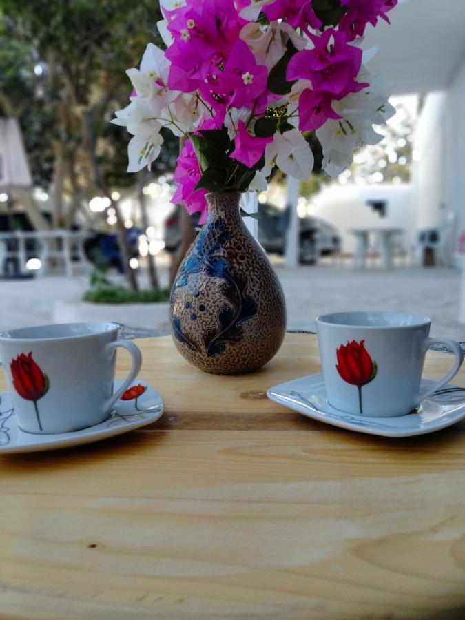 Henchir Ejdoud Guest House Kairouan Bagian luar foto